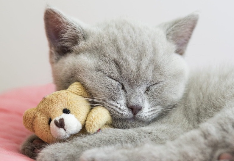 cute